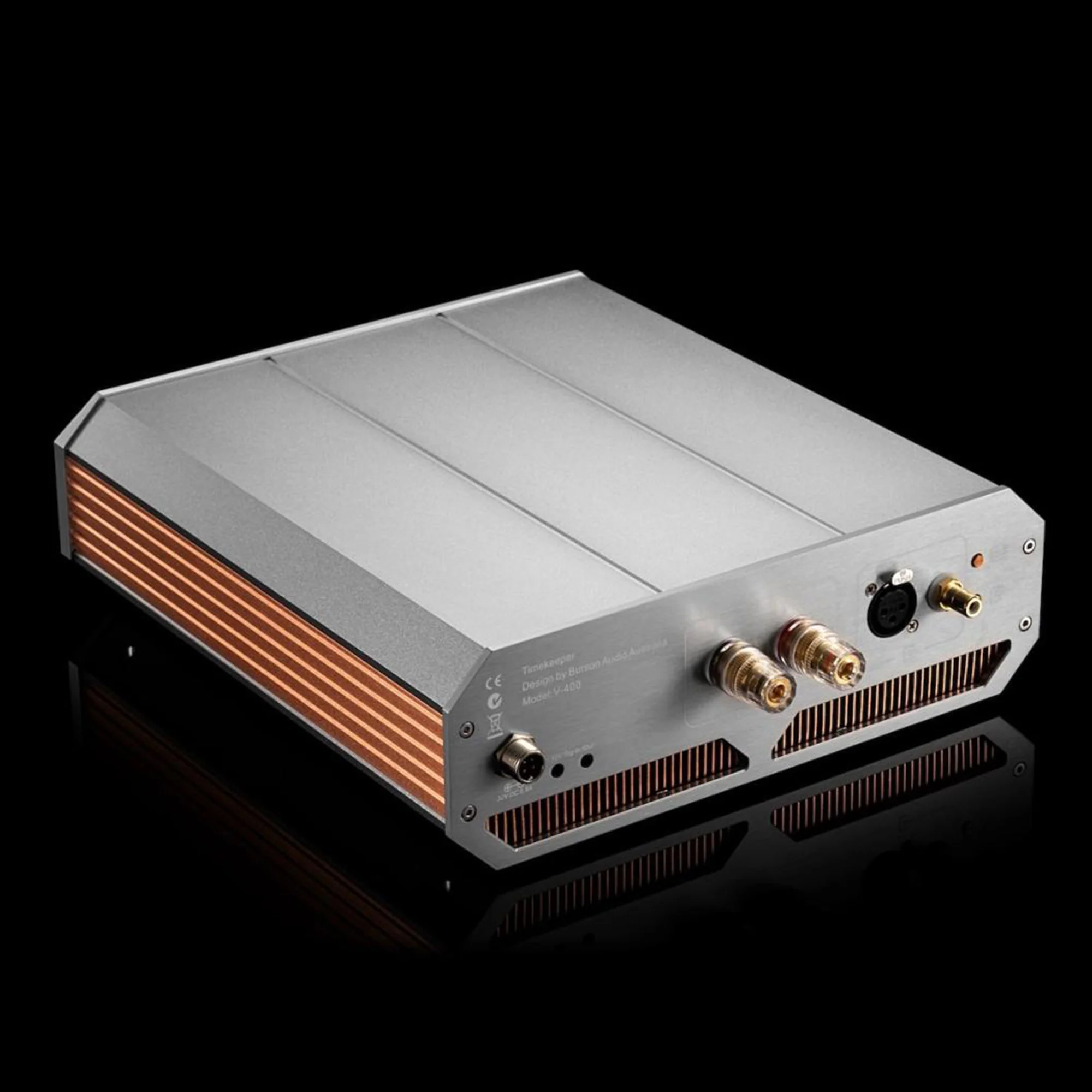 Burson Audio Timekeeper Voyager Monoblock Power Amplifiers (Pair) (Max Version) - Image 9
