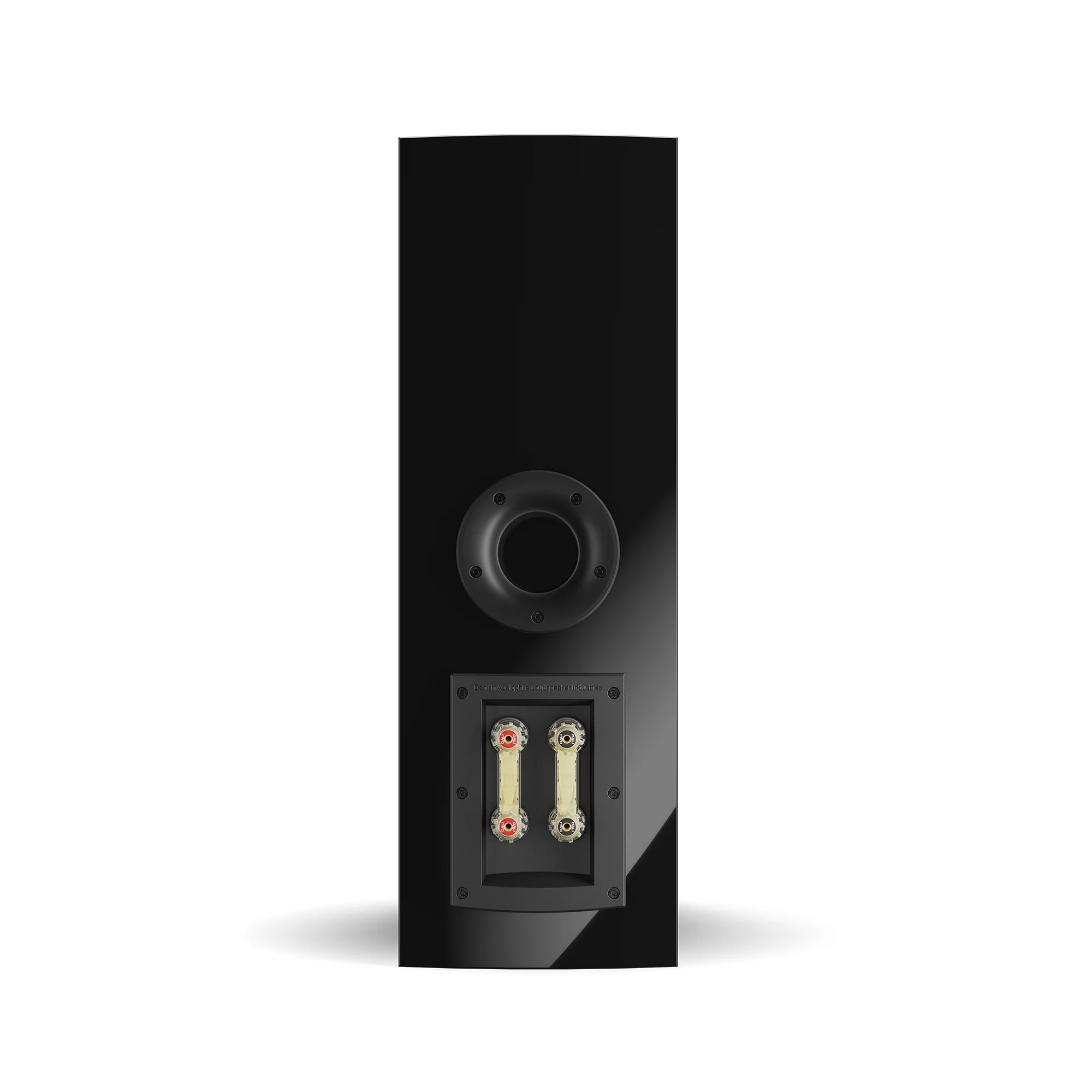 DALI RUBIKORE CINEMA Speaker - Image 28