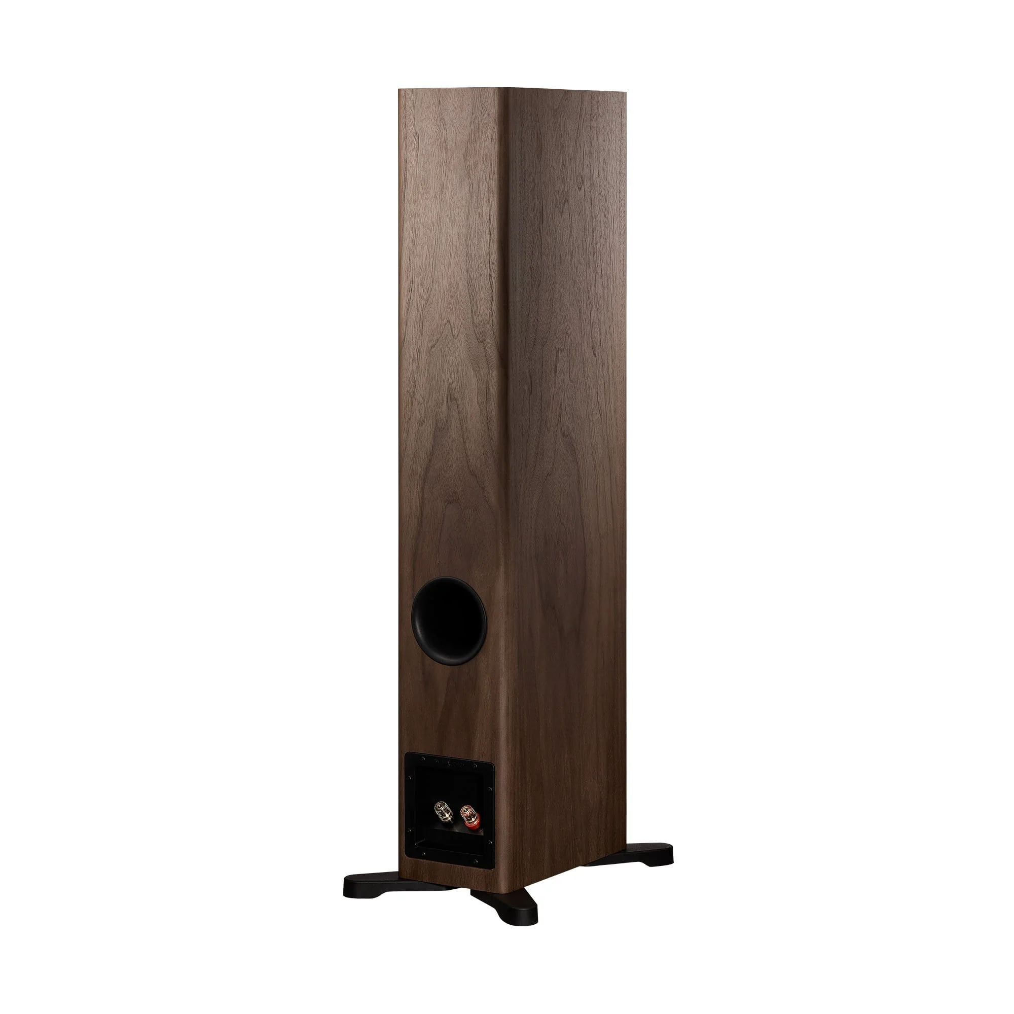 Dynaudio Evoke 30 Floorstanding Speakers - Image 13