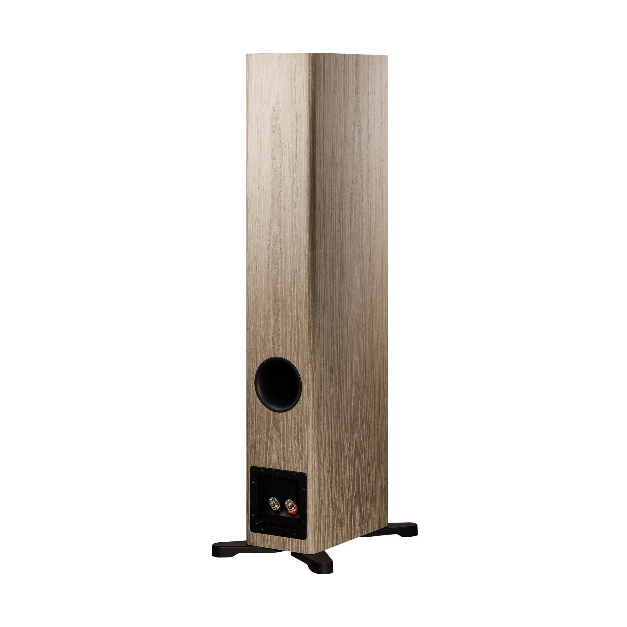 Dynaudio Evoke 30 Floorstanding Speakers - Image 18