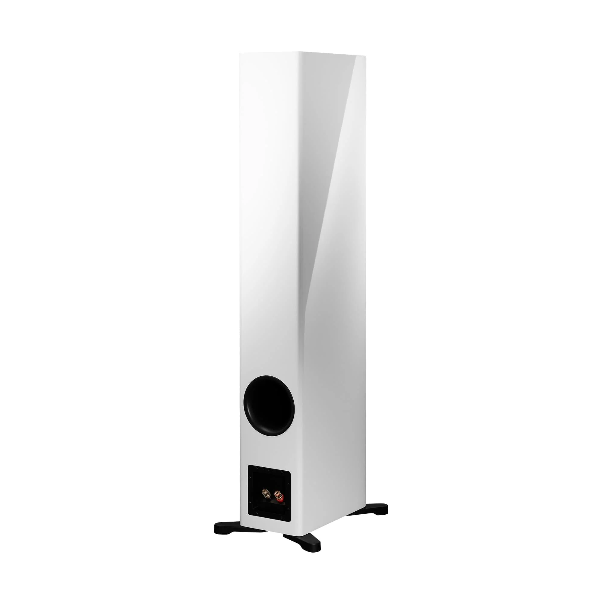 Dynaudio Evoke 50 Floorstanding Speakers - Image 8