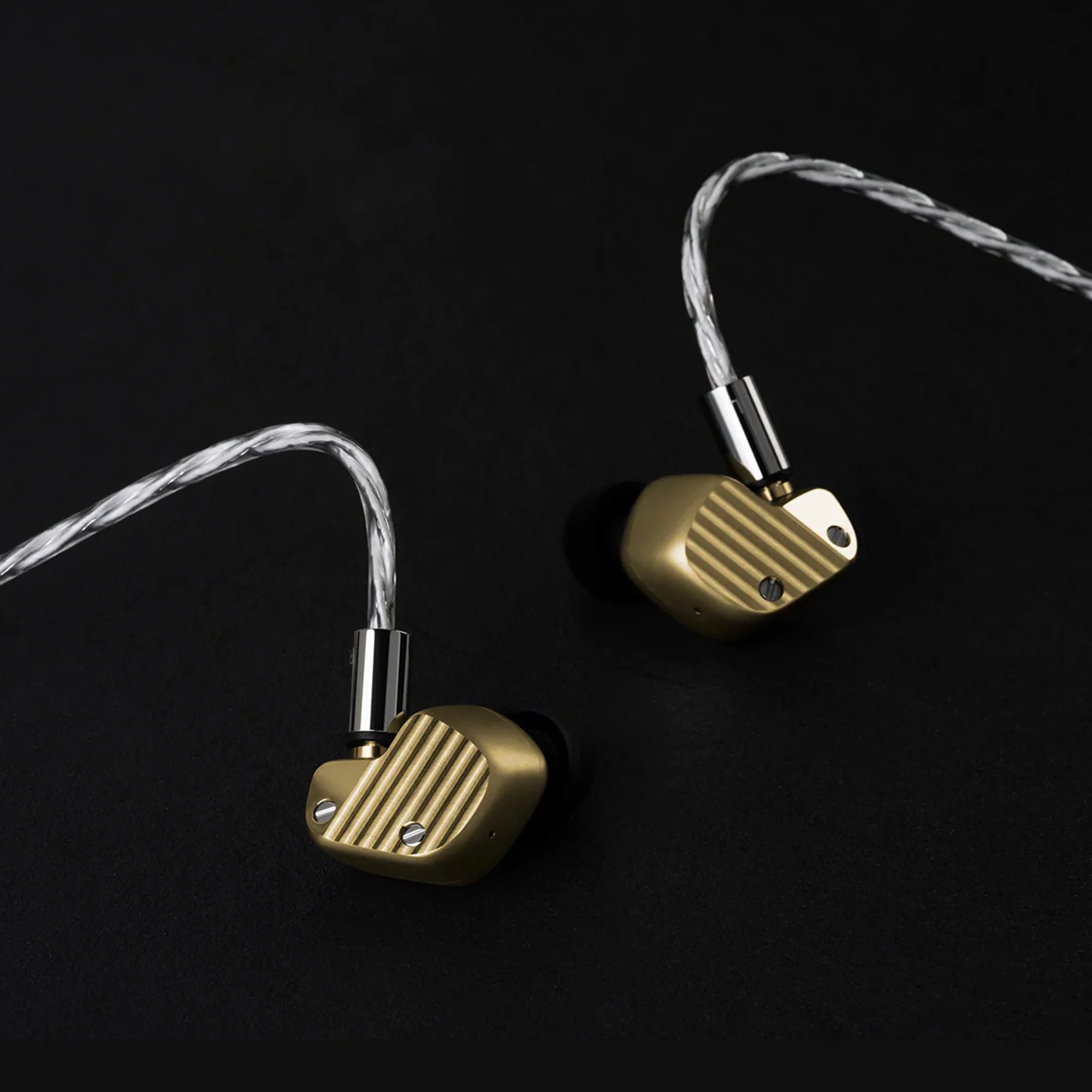Final A10000 Collectors Edition In-Ear Monitors - Image 2