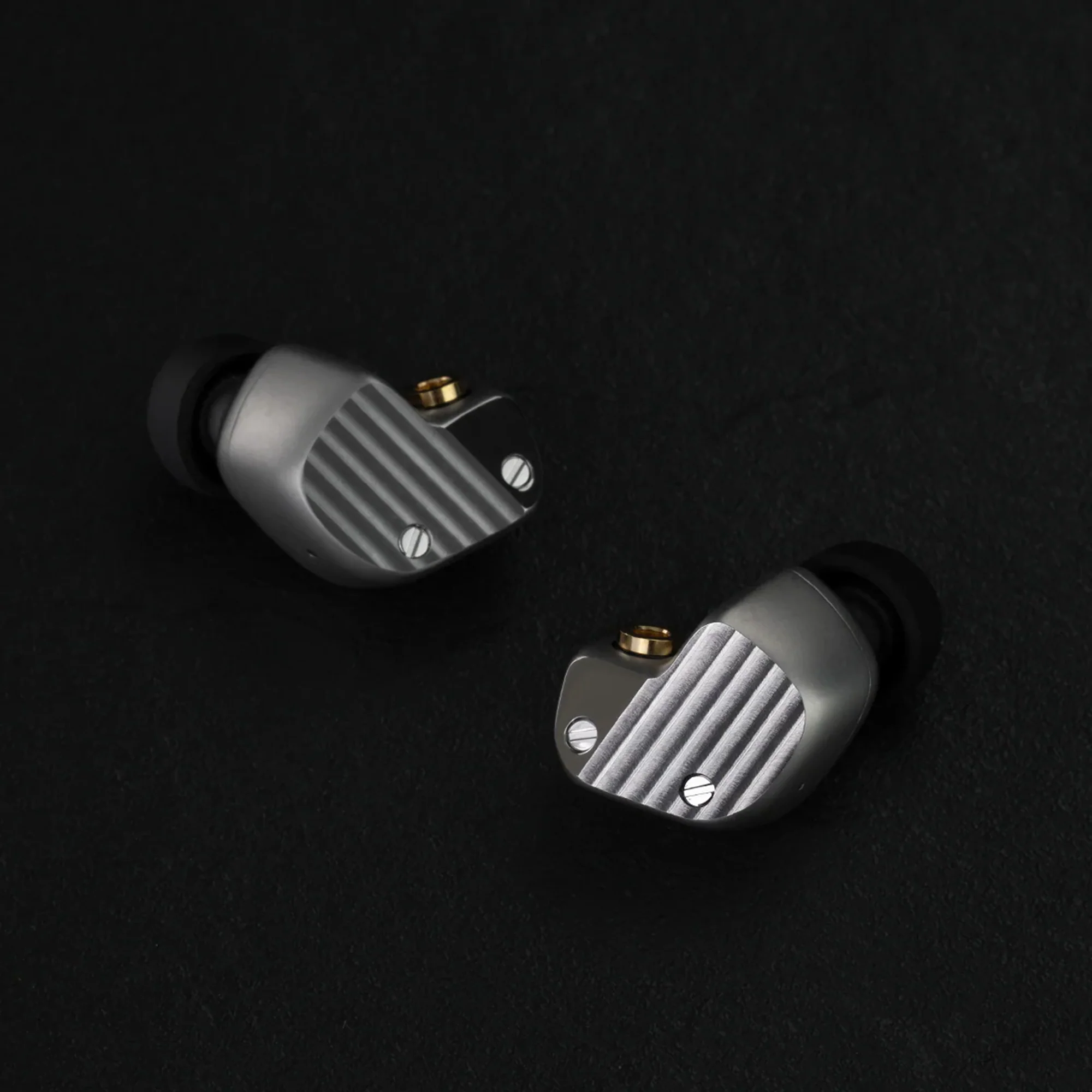 Final A10000 Flagship In-Ear Monitors - Image 2