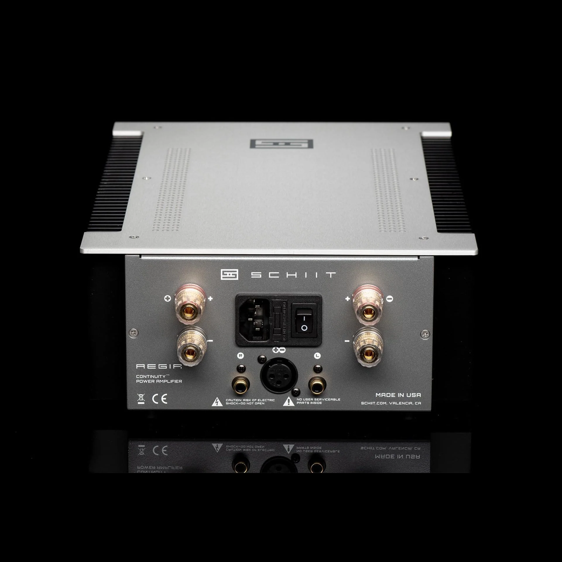 Schiit Audio Aegir Stereo/Mono Power Amplifier - Image 2