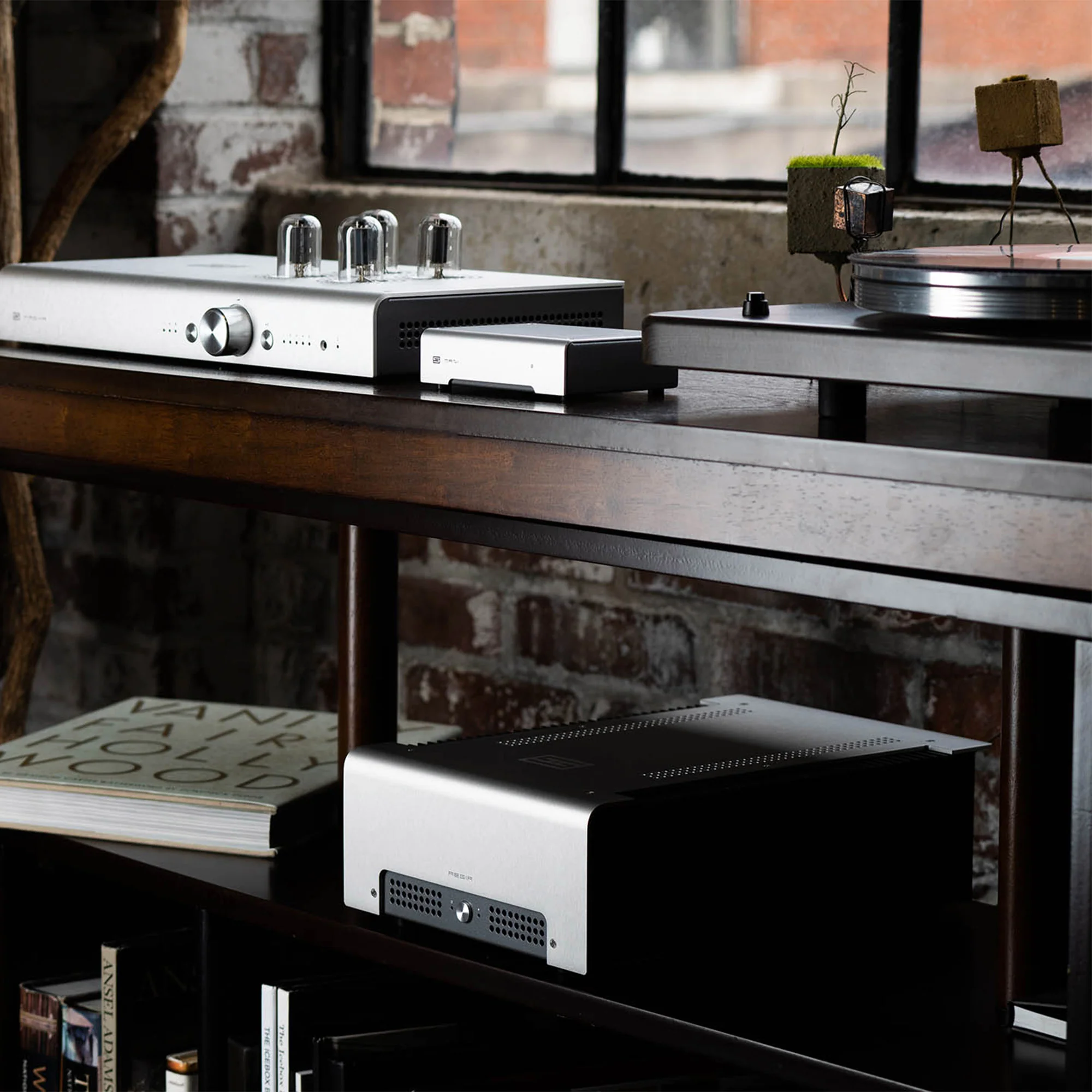 Schiit Audio Aegir Stereo/Mono Power Amplifier - Image 6