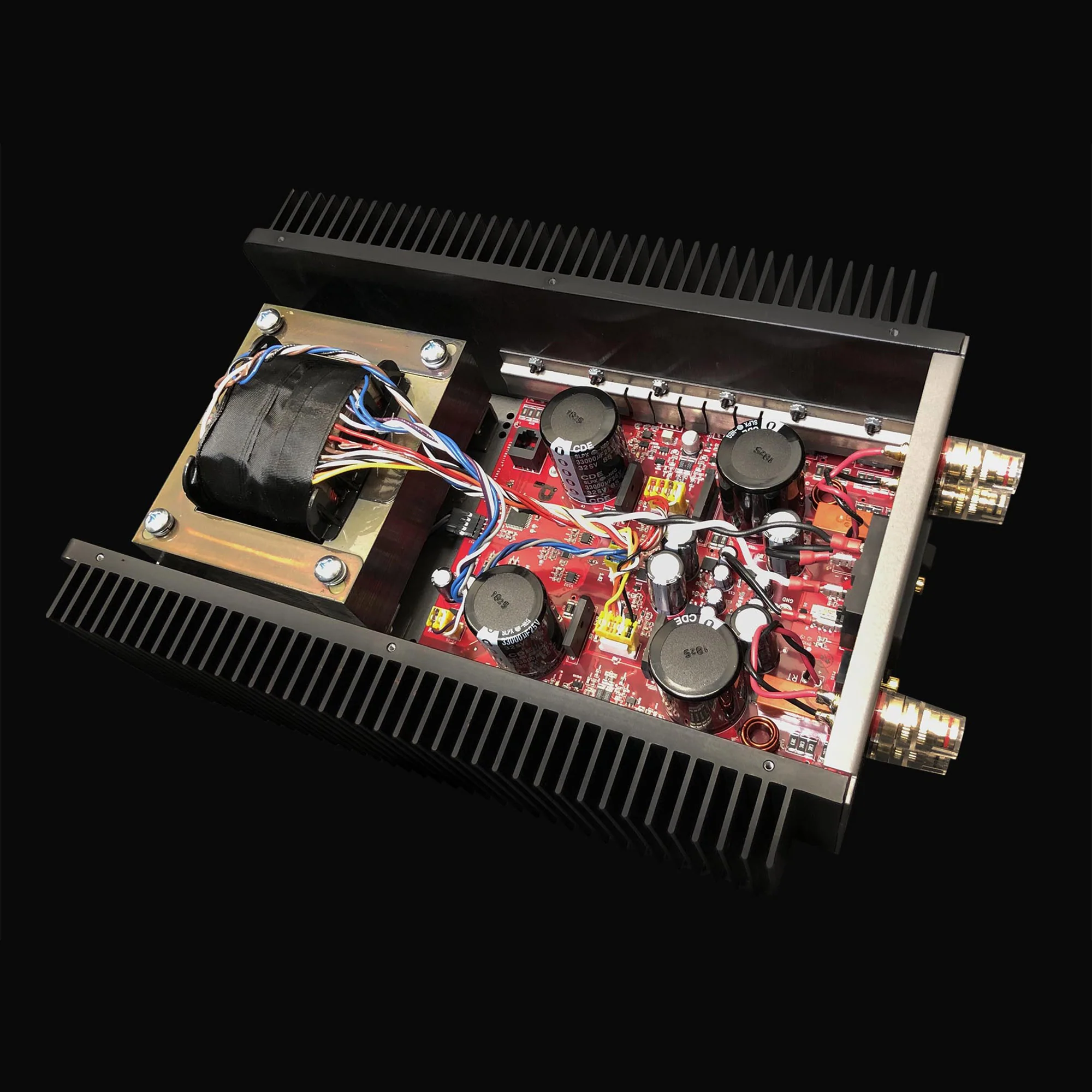 Schiit Audio Aegir Stereo/Mono Power Amplifier - Image 7