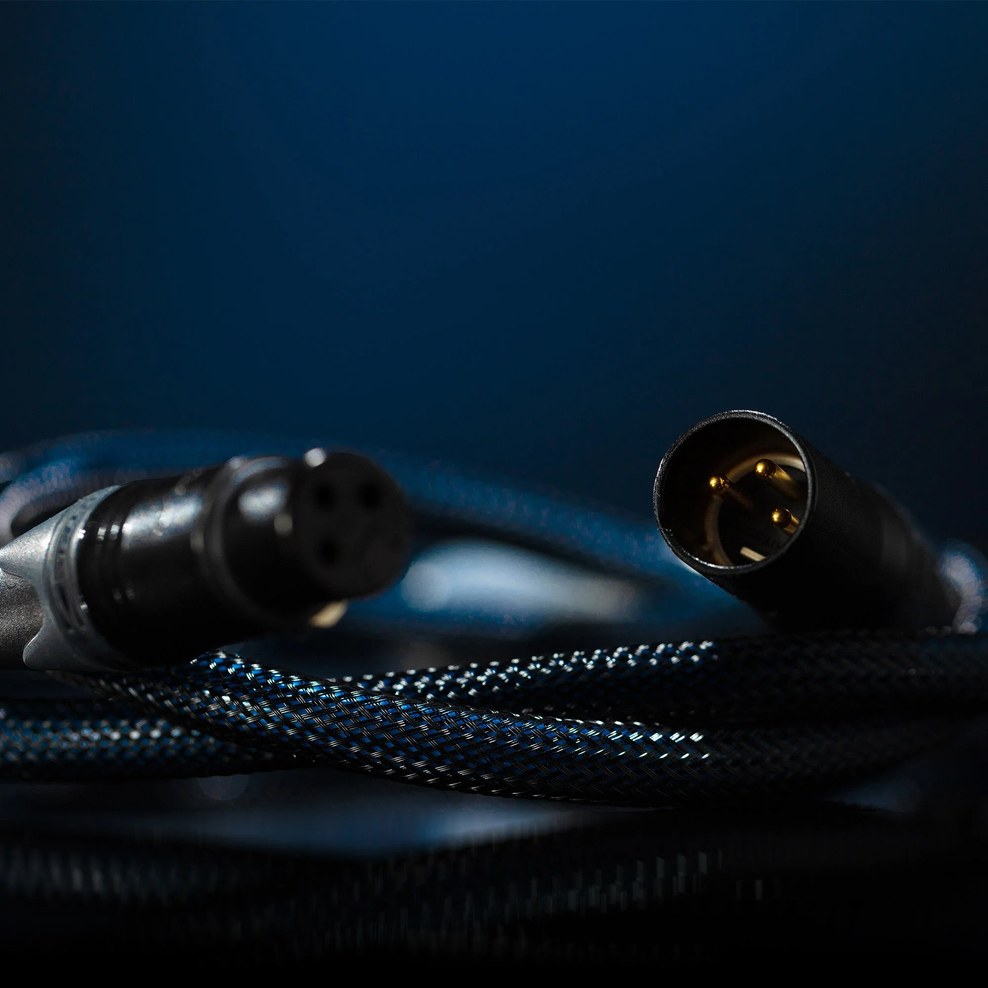 Siltech Classic Legend 380i Interconnect Cable - Image 2