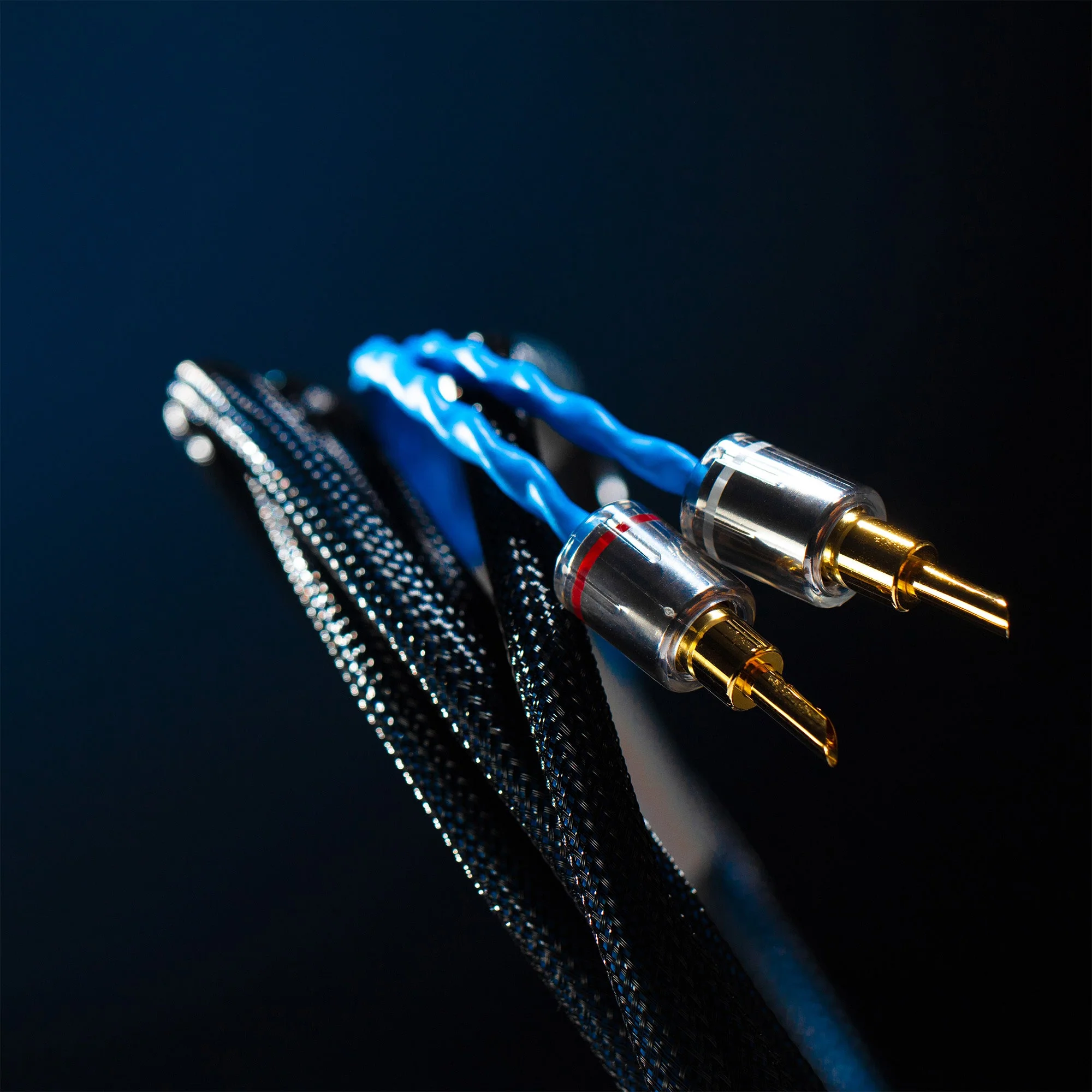 Siltech Classic Legend 380L Speaker Cable - Image 2