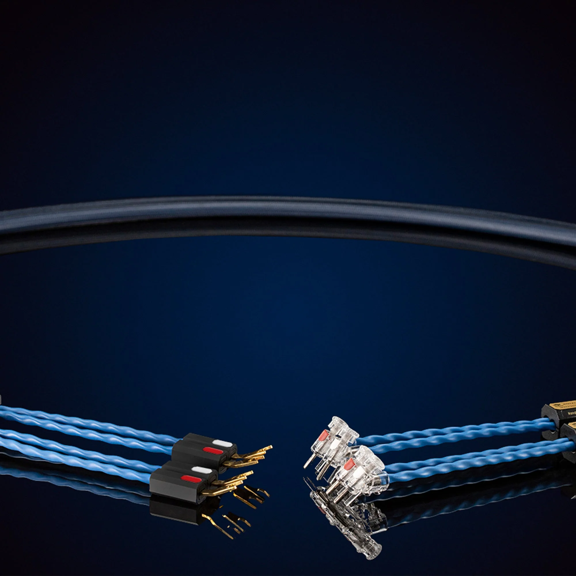 Siltech Royal Single Crown Speaker Cable - Image 2